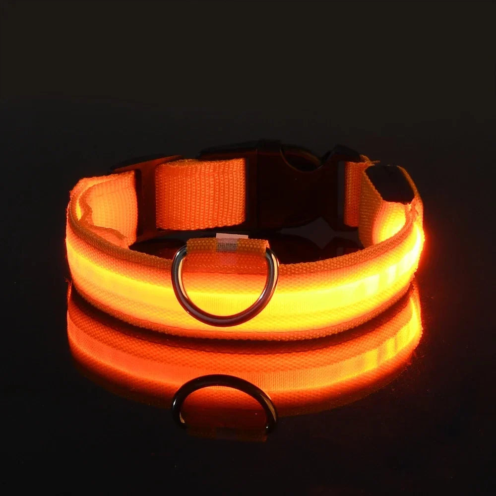 Luxe LED Dog Collar for Ultimate Night Safety