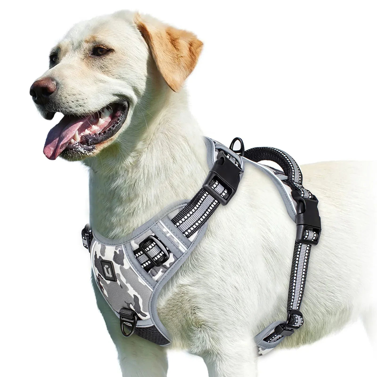 Adjustable Dog Harness for Ultimate Comfort and Safety