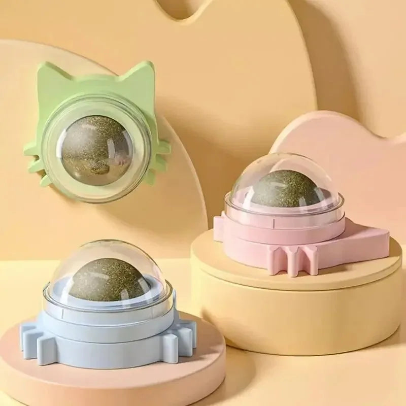 Cat Play Ball for a Healthy Stomach and More Cheerfulness