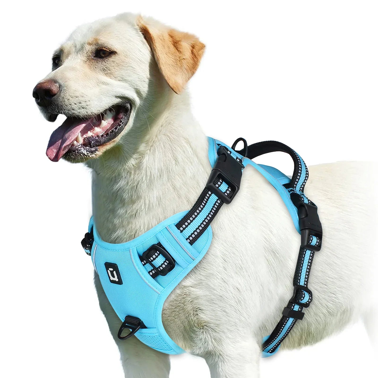 Adjustable Dog Harness for Ultimate Comfort and Safety