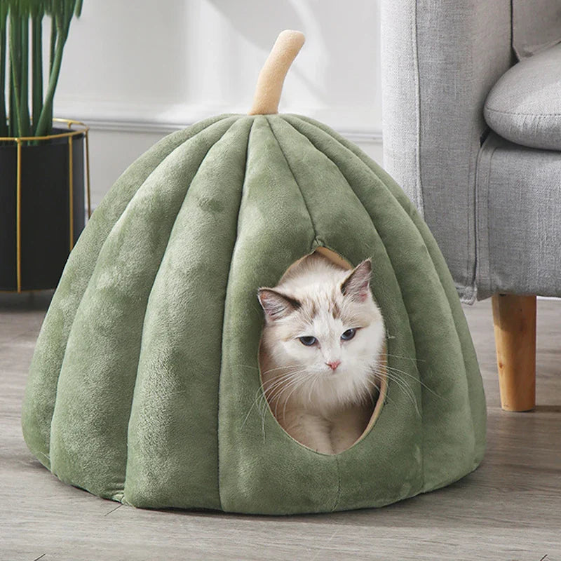 Cozy Closed Cat Bed for Warm Winter Days