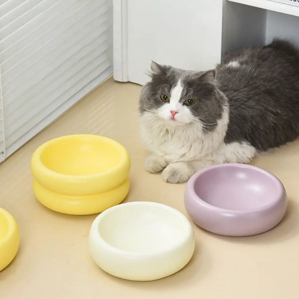Luxe Ceramic Pet Bowl for a Stylish Feeding Experience