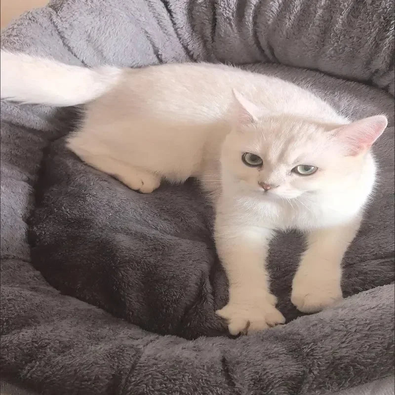 Comfortable Warm Dog and Cat Bed