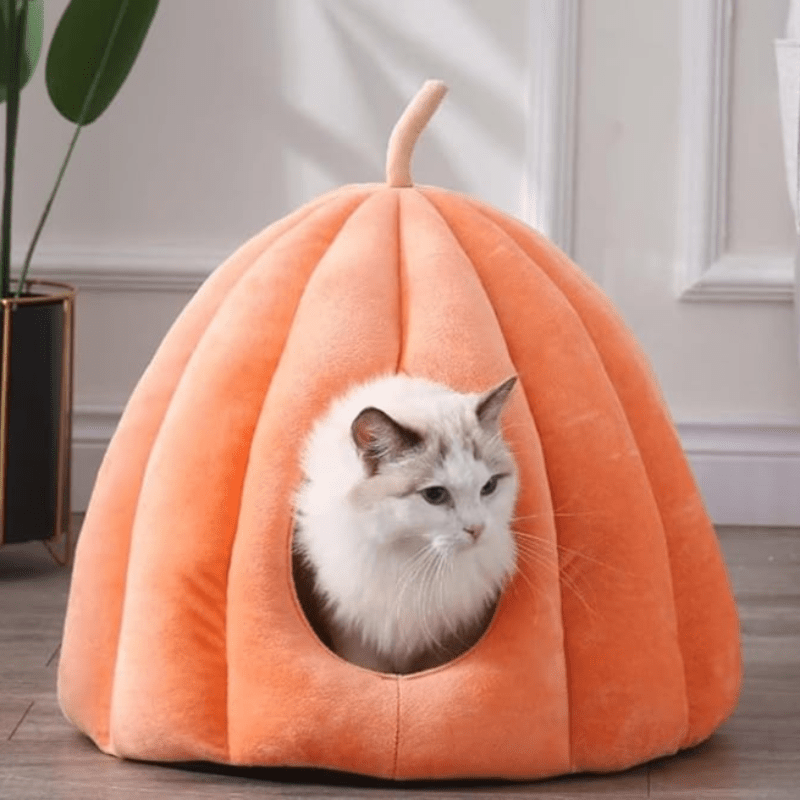Cozy Closed Cat Bed for Warm Winter Days
