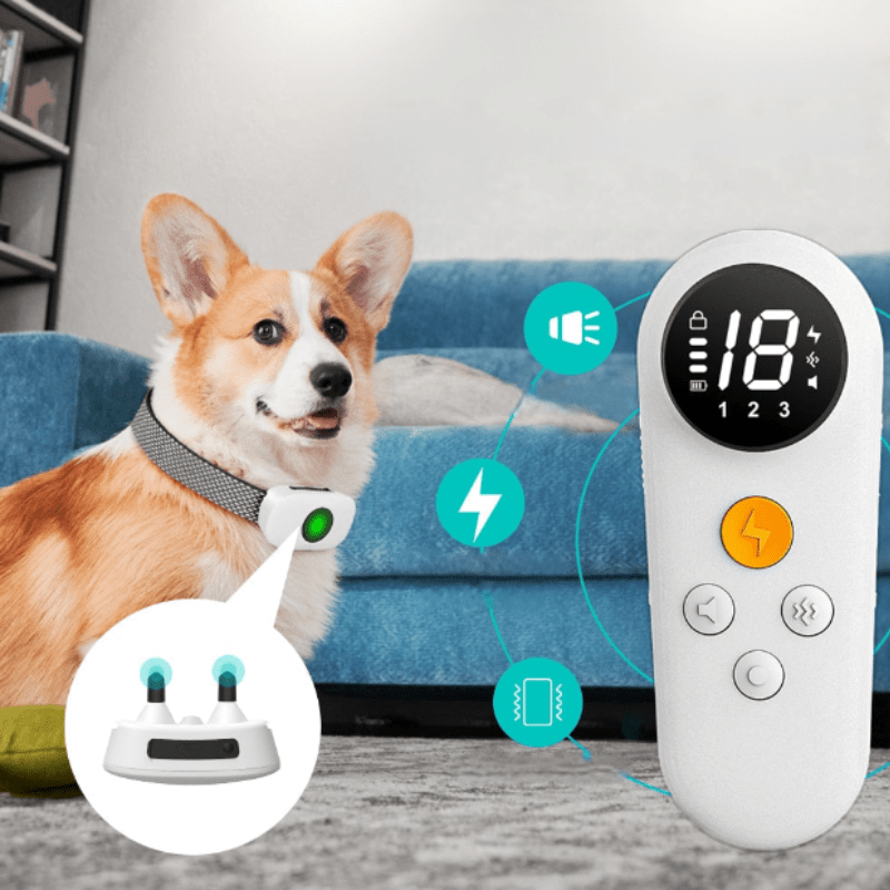 Ultimate Anti-Bark Device for Peace at Home