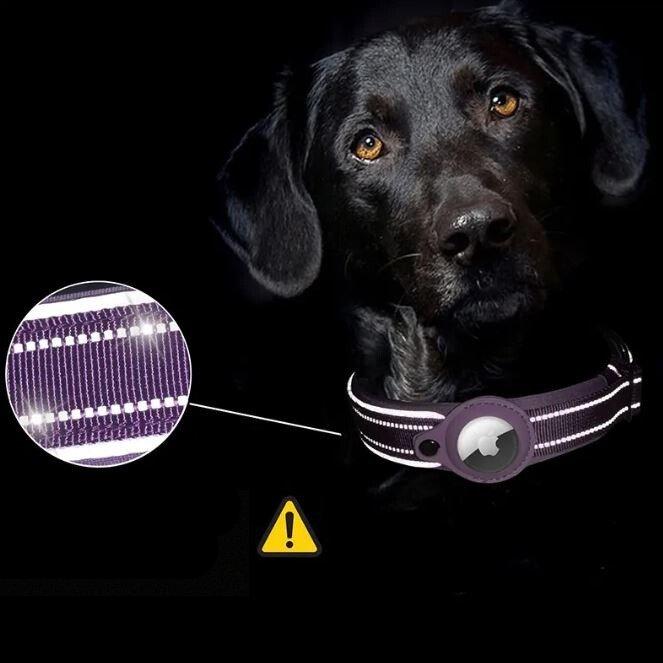 Ultra-Safe and Comfortable Pet Collar for Ultimate Protection