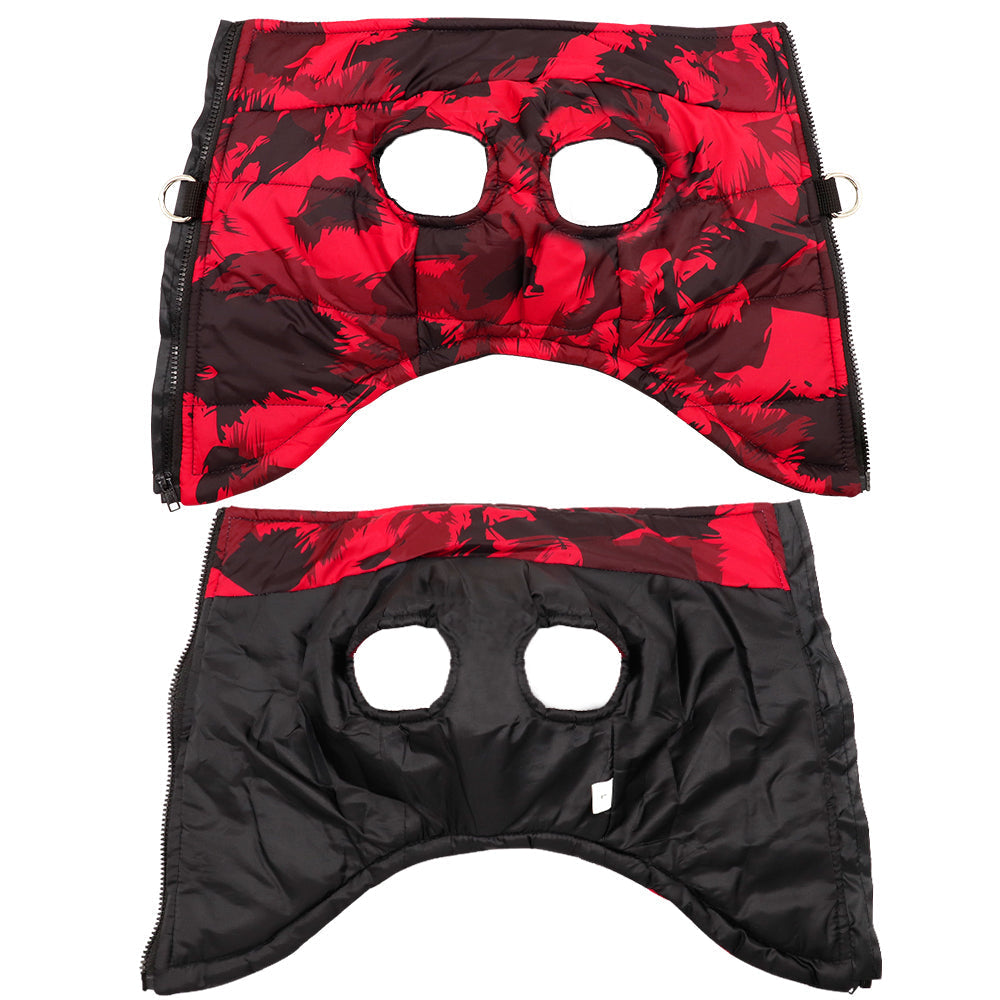 Stylish and Cozy Winter Comfort for Pets