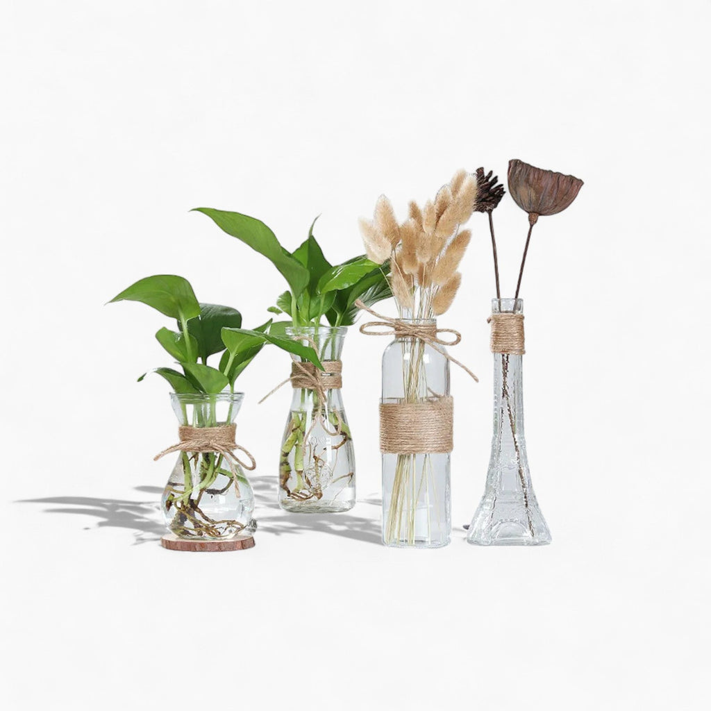 Minimalist Glass Vase - Elegant Table Decoration