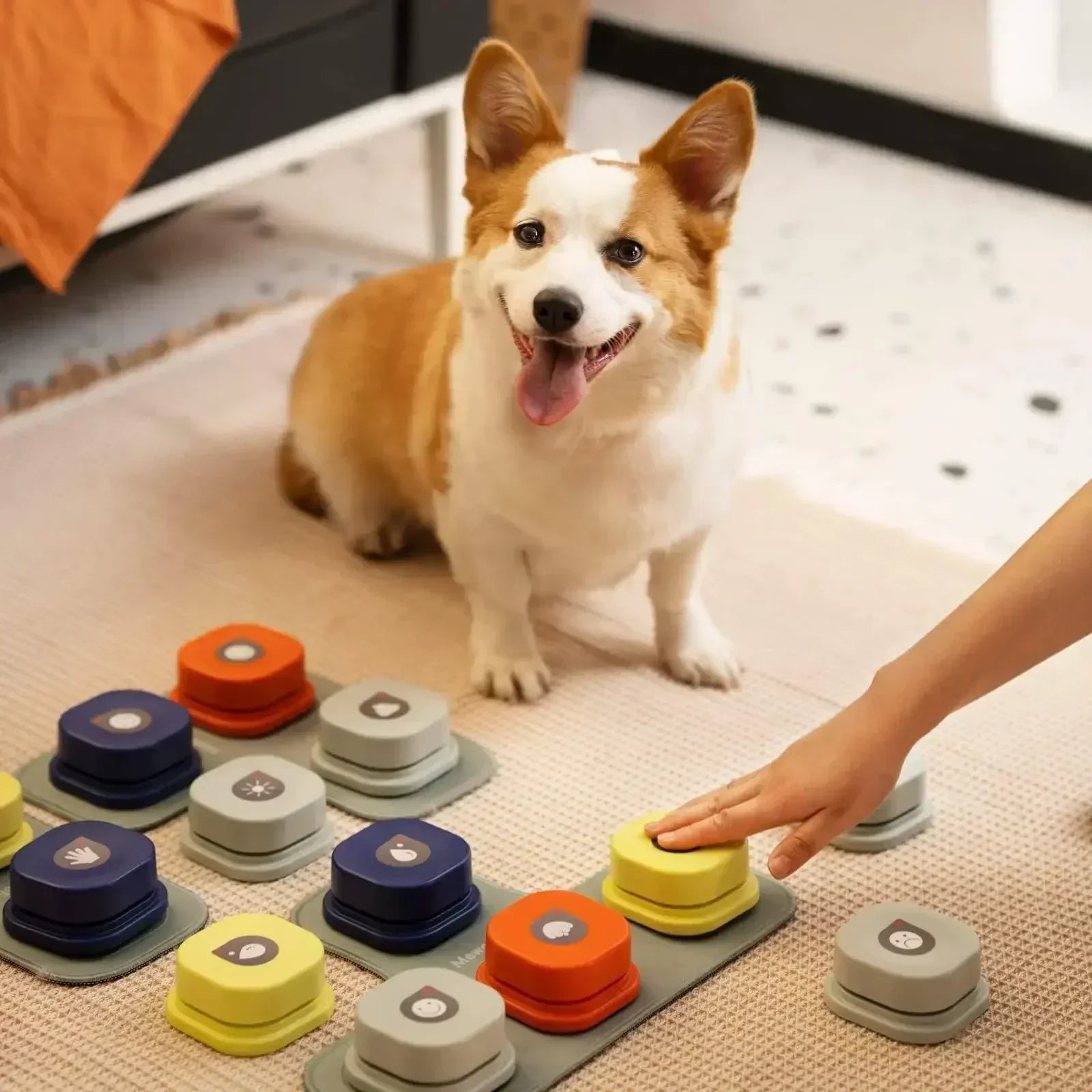 Animation Button Set for Better Interactive Communication with Dogs